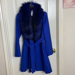 Electric Blue Coat
